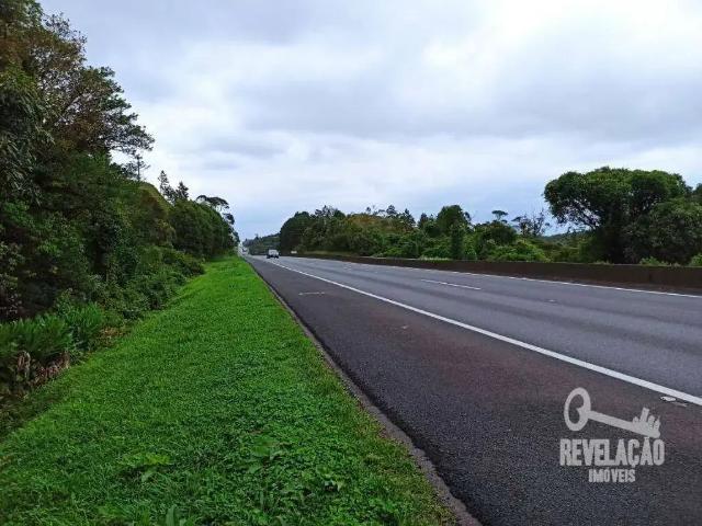 Terreno / Lote para Venda em São José dos Pinhais/PR Colônia Murici
