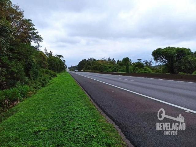 Terreno / Lote para Venda em São José dos Pinhais/PR Colônia Murici