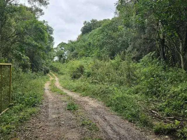 Terreno / Lote para Venda em São José dos Pinhais/PR Colônia Murici
