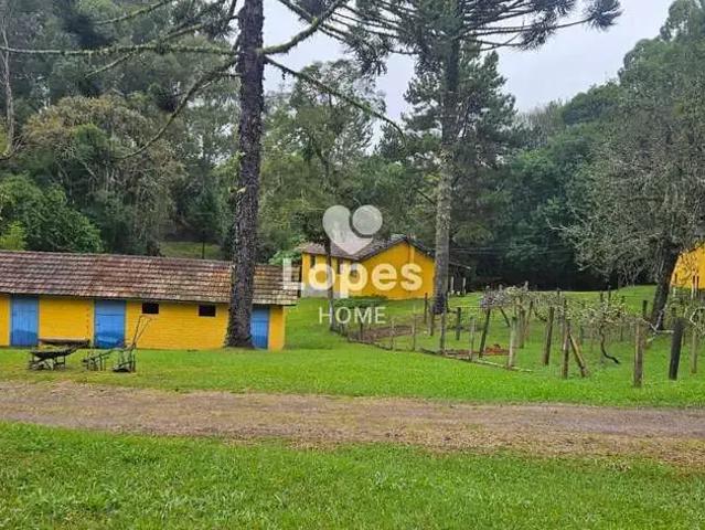 Terreno / Lote para Venda em São José dos Pinhais/PR Colônia Murici 6 Quartos
