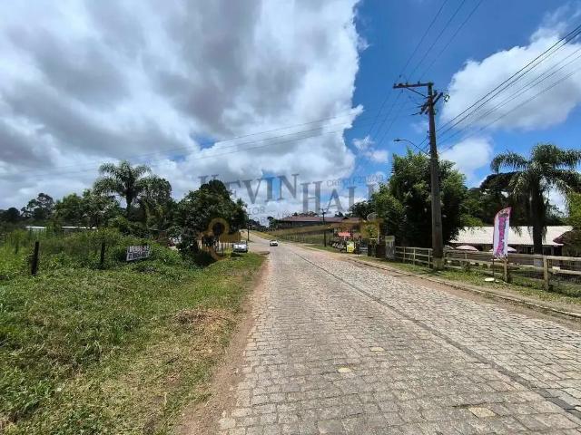 Terreno / Lote para Venda em São José dos Pinhais/PR Colônia Murici
