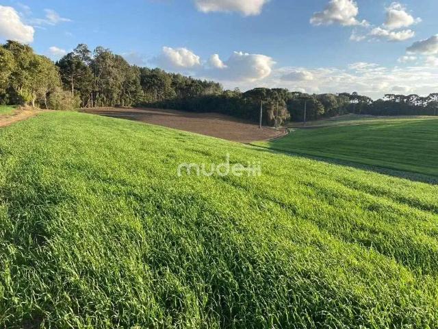 Terreno / Lote para Venda em São José dos Pinhais/PR Colônia Murici