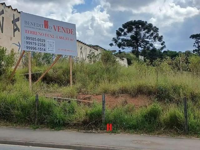 Terreno / Lote para Venda em São José dos Pinhais/PR Colônia Rio Grande