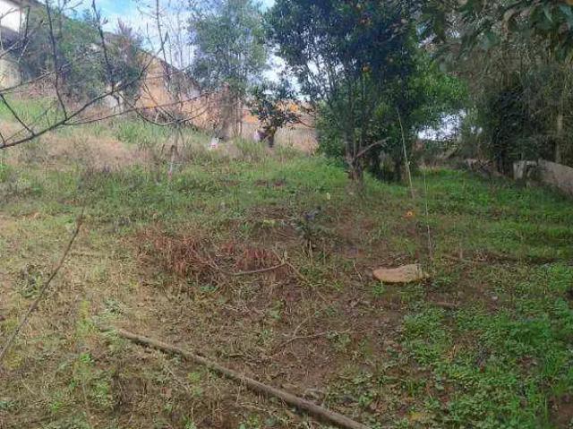 Terreno / Lote para Venda em São José dos Pinhais/PR Colônia Rio Grande