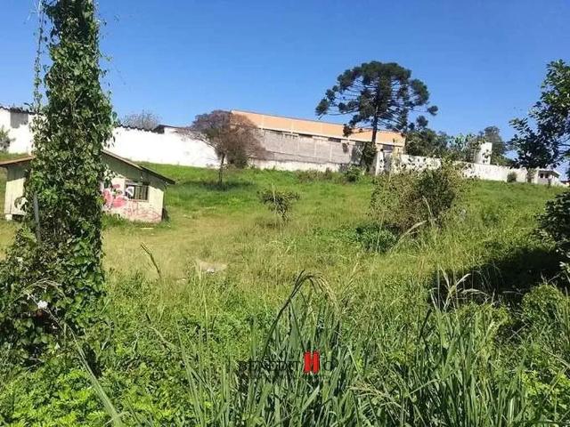 Terreno / Lote para Venda em São José dos Pinhais/PR Colônia Rio Grande