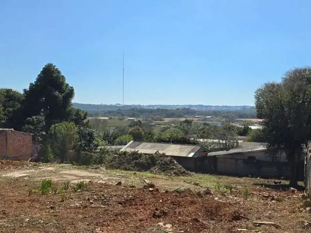 Terreno / Lote para Venda em São José dos Pinhais/PR Colônia Rio Grande