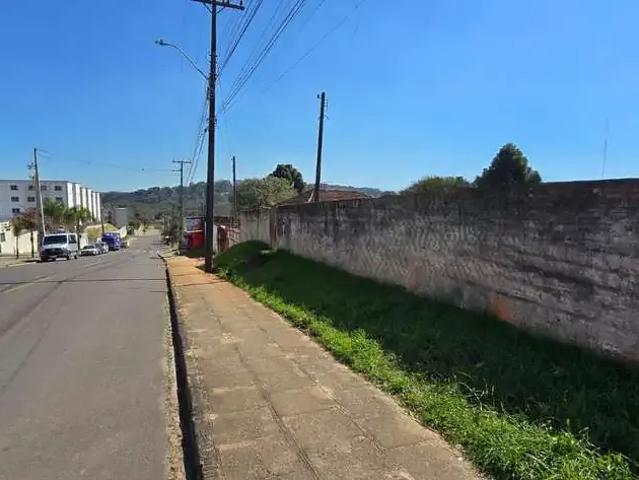Terreno / Lote para Venda em São José dos Pinhais/PR Colônia Rio Grande