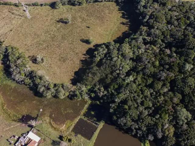 Terreno / Lote para Venda em São José dos Pinhais/PR Contenda