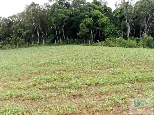 Terreno / Lote para Venda em São José dos Pinhais/PR Contenda 1 Quartos