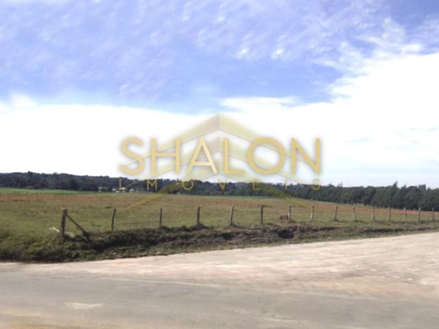 Terreno / Lote para Venda em São José dos Pinhais/PR Contenda