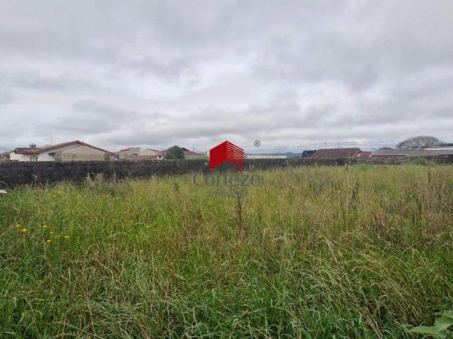 Terreno / Lote para Venda em São José dos Pinhais/PR Contenda