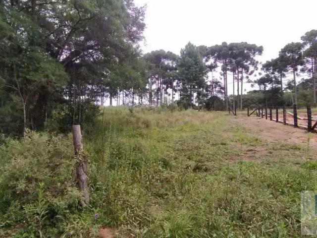 Terreno / Lote para Venda em São José dos Pinhais/PR Contenda