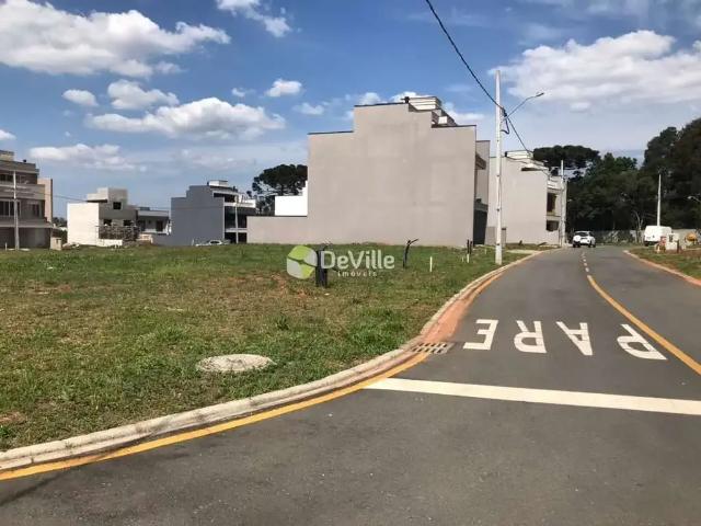 Terreno / Lote para Venda em São José dos Pinhais/PR Costeira