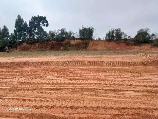 Terreno / Lote para Venda em São José dos Pinhais/PR Cotia