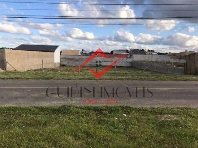 Terreno / Lote para Venda em São José dos Pinhais/PR Cruzeiro