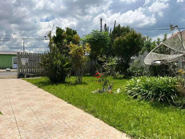 Terreno / Lote para Venda em São José dos Pinhais/PR Cruzeiro 5 Quartos
