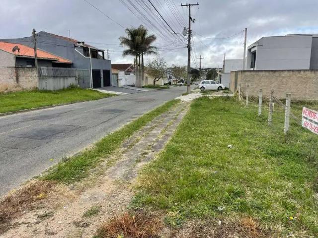 Terreno / Lote para Venda em São José dos Pinhais/PR Cruzeiro