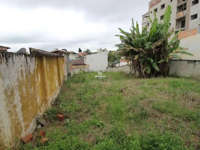 Terreno / Lote para Venda em São José dos Pinhais/PR Cruzeiro
