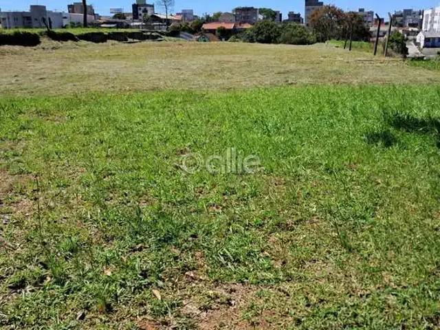 Terreno / Lote para Venda em São José dos Pinhais/PR Cruzeiro