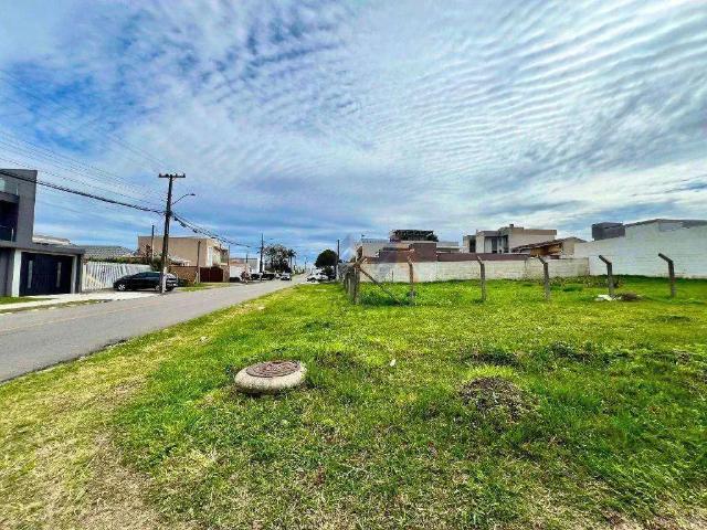 Terreno / Lote para Venda em São José dos Pinhais/PR Cruzeiro