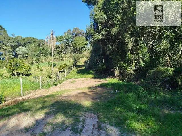 Terreno / Lote para Venda em São José dos Pinhais/PR Del Rey