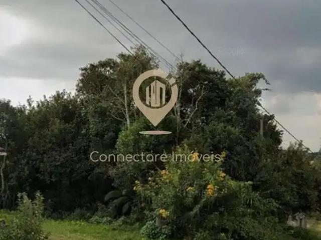 Terreno / Lote para Venda em São José dos Pinhais/PR Del Rey
