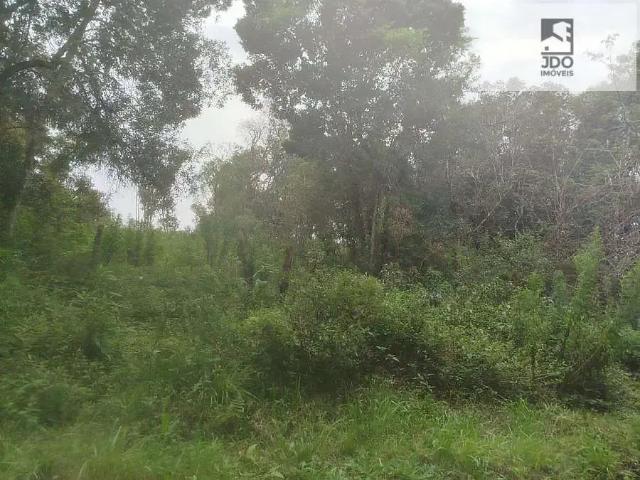 Terreno / Lote para Venda em São José dos Pinhais/PR Del Rey