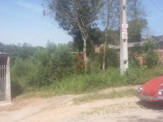 Terreno / Lote para Venda em São José dos Pinhais/PR Del Rey