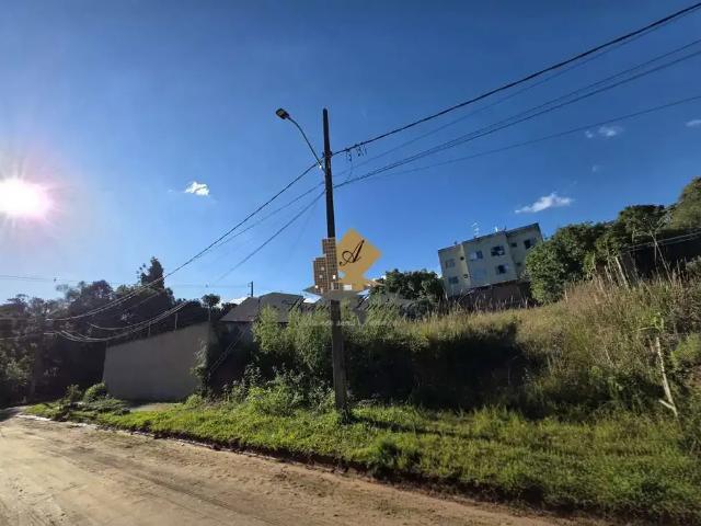 Terreno / Lote para Venda em São José dos Pinhais/PR Del Rey