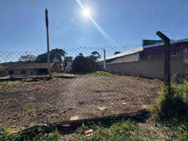 Terreno / Lote para Venda em São José dos Pinhais/PR Dom Rodrigo