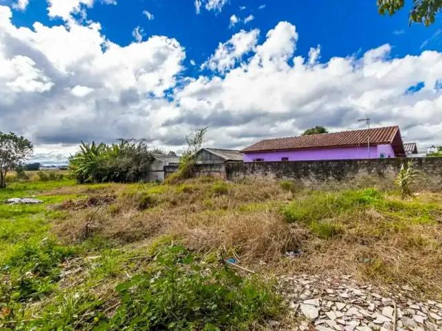Terreno / Lote para Venda em São José dos Pinhais/PR Guatupê