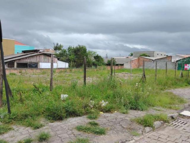 Terreno / Lote para Venda em São José dos Pinhais/PR Guatupê