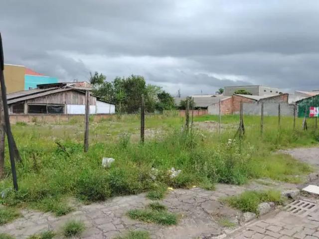 Terreno / Lote para Venda em São José dos Pinhais/PR Guatupê