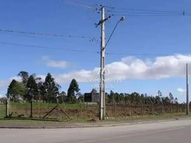 Terreno / Lote para Venda em São José dos Pinhais/PR Guatupê