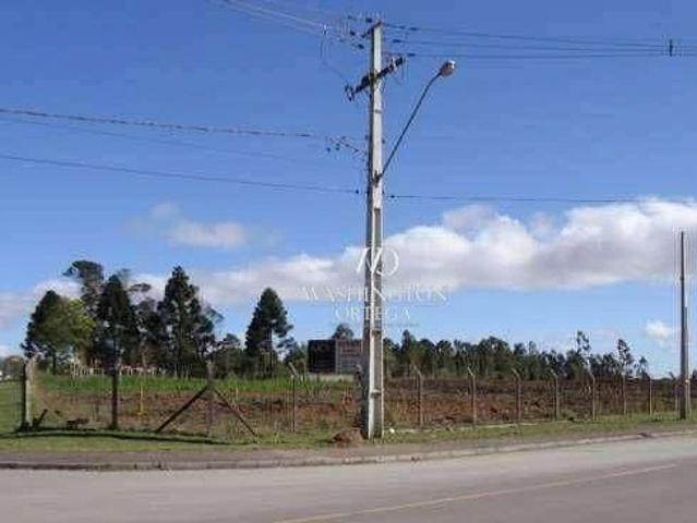 Terreno / Lote para Venda em São José dos Pinhais/PR Guatupê