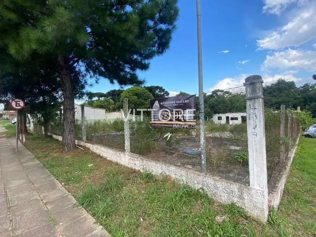 Terreno / Lote para Venda em São José dos Pinhais/PR Itália