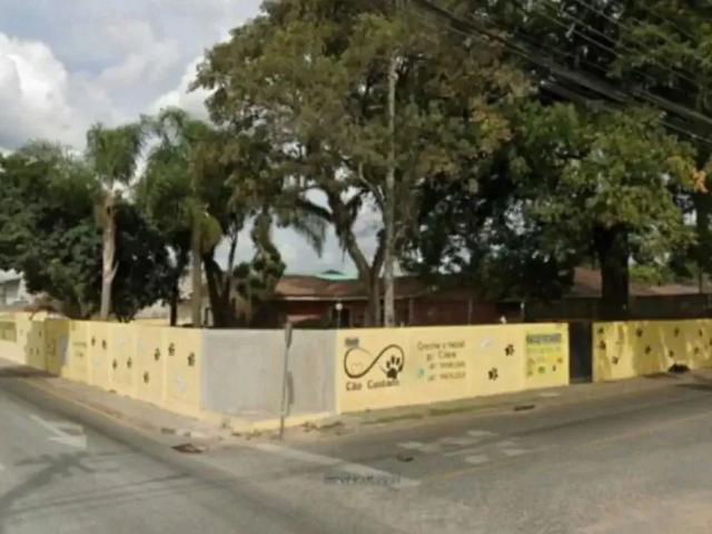 Terreno / Lote para Venda em São José dos Pinhais/PR Iná 4 Quartos