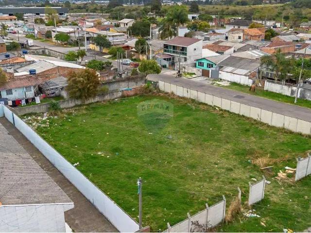 Terreno / Lote para Venda em São José dos Pinhais/PR Ipê