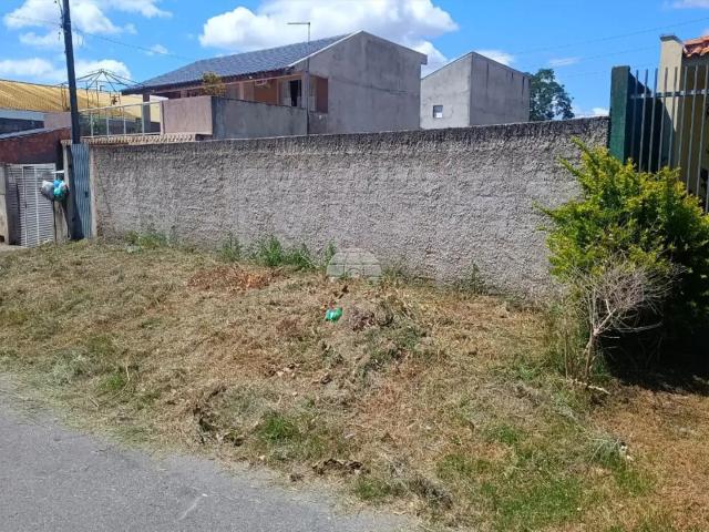 Terreno / Lote para Venda em São José dos Pinhais/PR Ipê