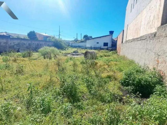 Terreno / Lote para Venda em São José dos Pinhais/PR Ipê