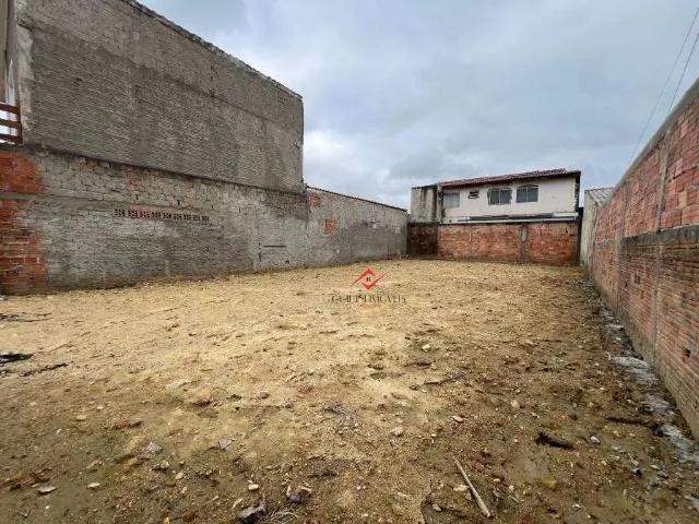 Terreno / Lote para Venda em São José dos Pinhais/PR Ipê