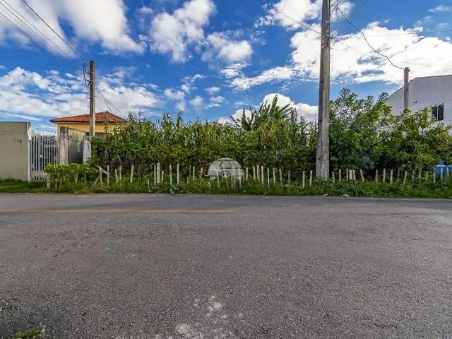 Terreno / Lote para Venda em São José dos Pinhais/PR Ipê