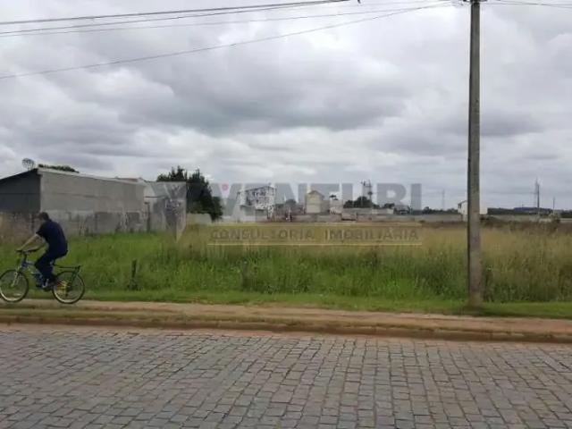 Terreno / Lote para Venda em São José dos Pinhais/PR Ipê