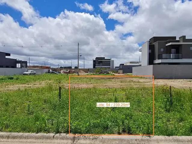Terreno / Lote para Venda em São José dos Pinhais/PR Ipê