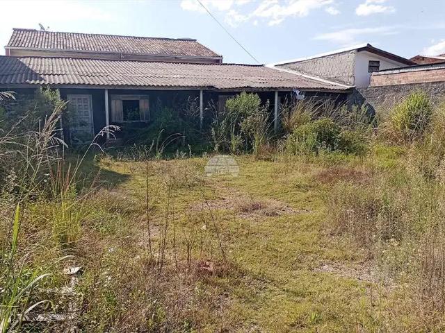 Terreno / Lote para Venda em São José dos Pinhais/PR Ipê