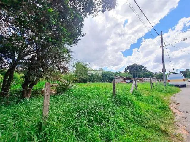 Terreno / Lote para Venda em São José dos Pinhais/PR Jurema