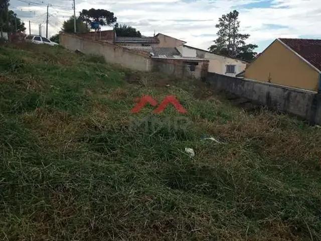 Terreno / Lote para Venda em São José dos Pinhais/PR Jurema