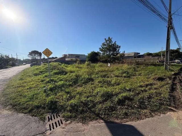 Terreno / Lote para Venda em São José dos Pinhais/PR Jardim Carmem