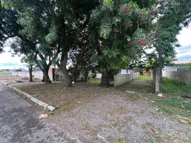 Terreno / Lote para Venda em São José dos Pinhais/PR Jardim Cristal