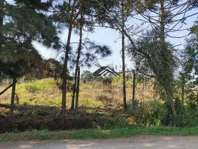 Terreno / Lote para Venda em São José dos Pinhais/PR Jardim Cristal